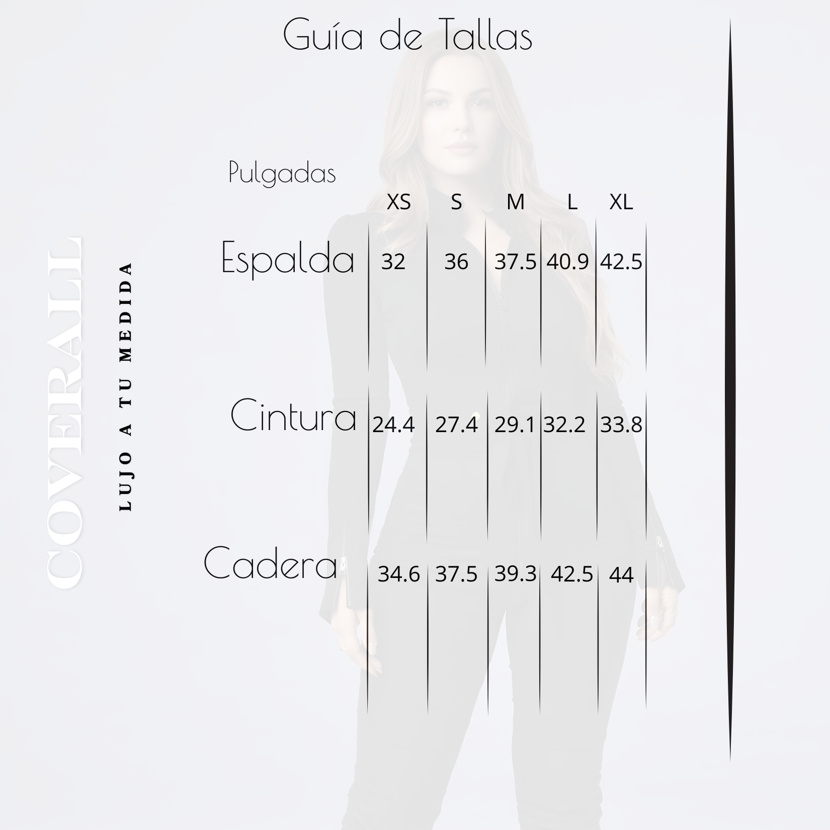 Coverall Profesional